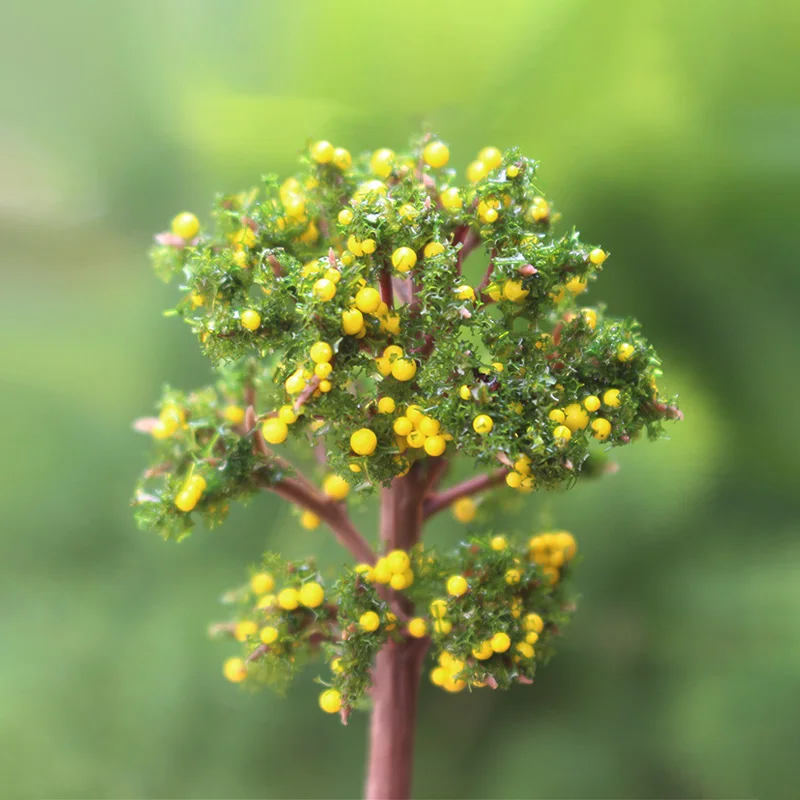 BEAUFORT миниатюрное многоцветное дерево сосна красный клен Вишневое гриб микро