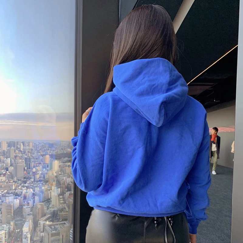 Fashion Harajuku Spring Hoodie Women Loose Korean Style Sweatshirt Autumn Streetwear Solid Color Hoodies Pullovers | Женская одежда