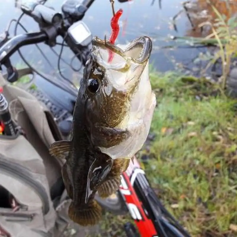 20/50/100 шт. искусственная силиконовая рыболовная приманка | Спорт и развлечения