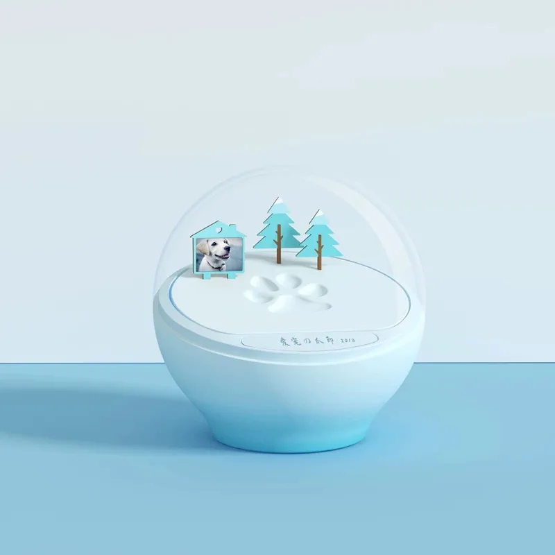 2021 горячая Распродажа подарочные носки с принтом медвежьей лапы комплект Pet