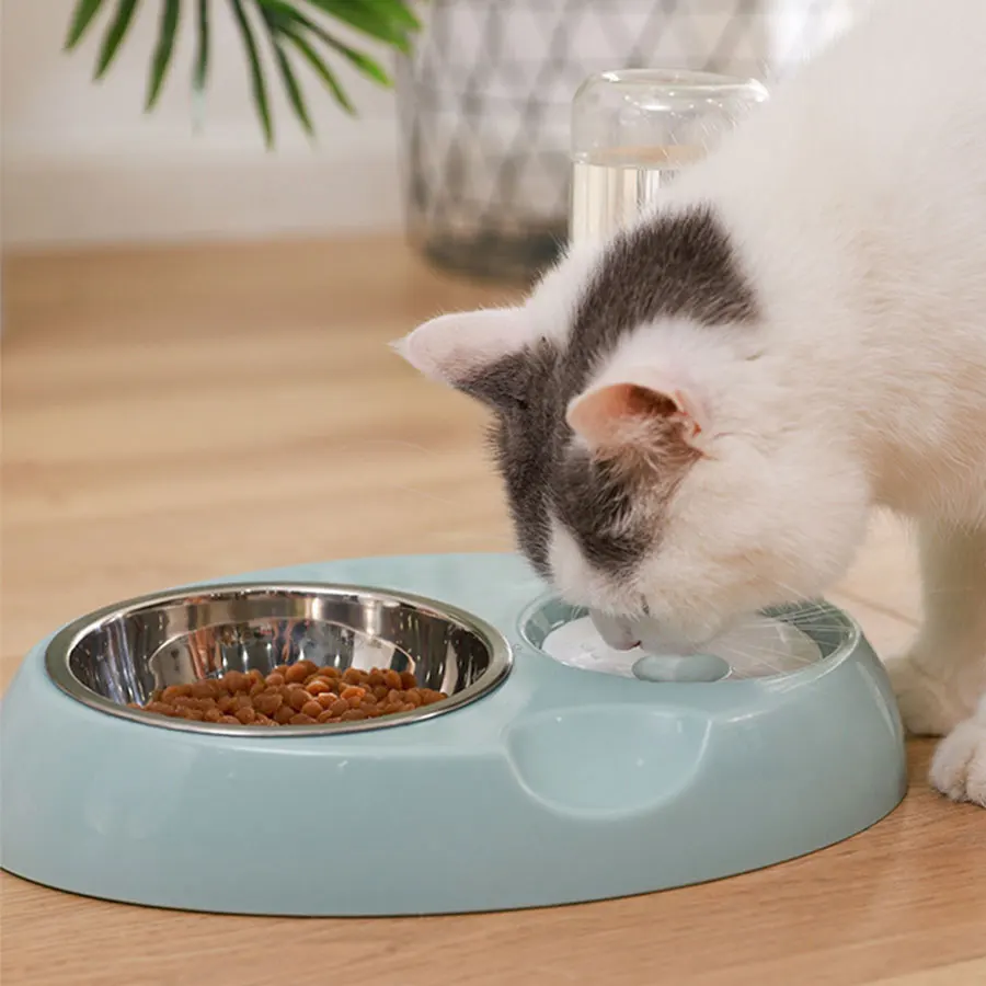 

Миска для домашних животных, автоматическая кормушка с бутылкой, для кошек