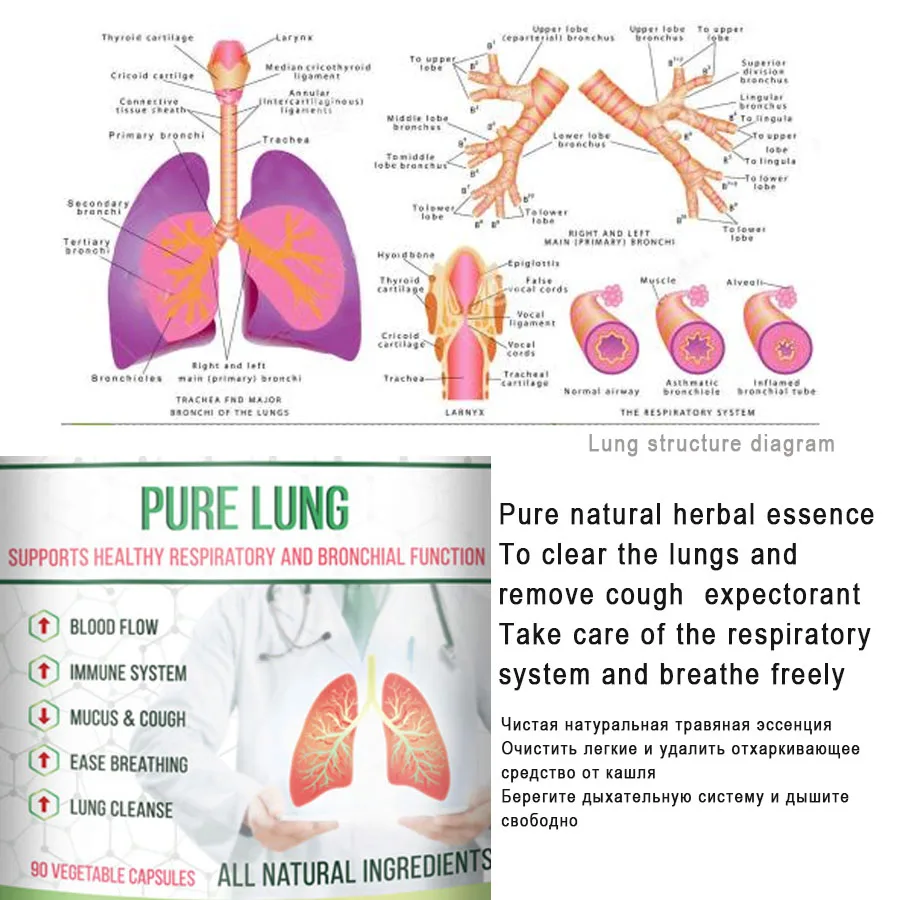 

Natural herbal compound clearing away heat Detoxify Purify the lung respiratory tract Resolve phlegm cough 600mg * 90 / bottle