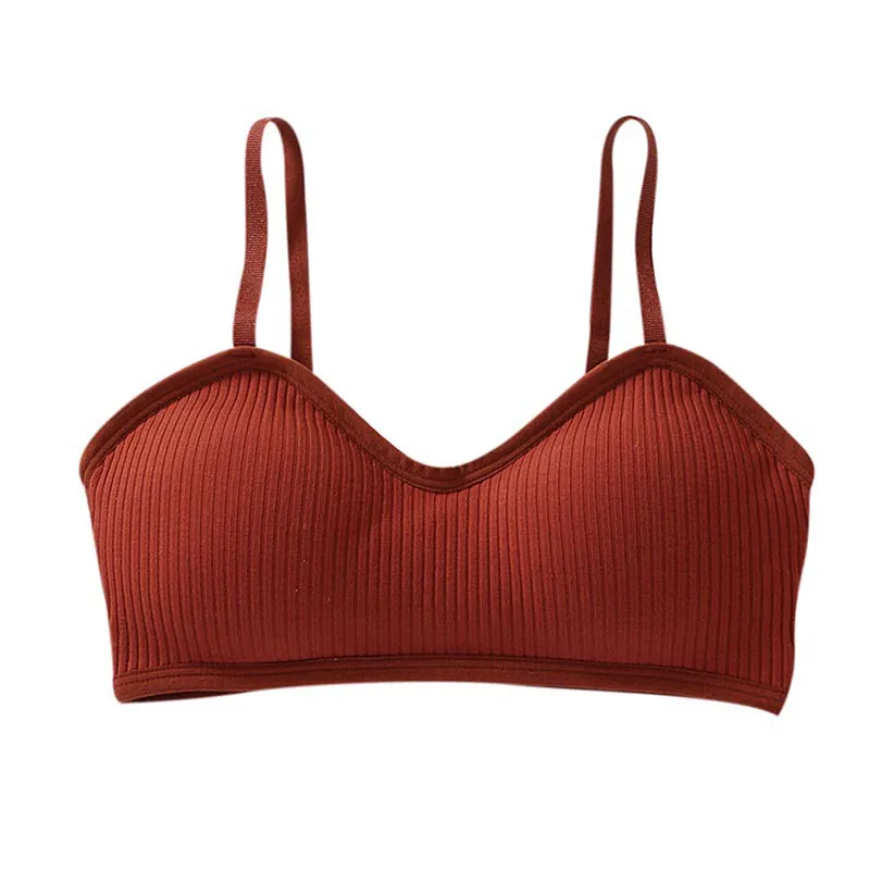 

Ladies Padded Bralette Sexy Push Up Bras Wire Free Brassiere Seamless Underwear Female Bra Sexy Lingerie Intimates