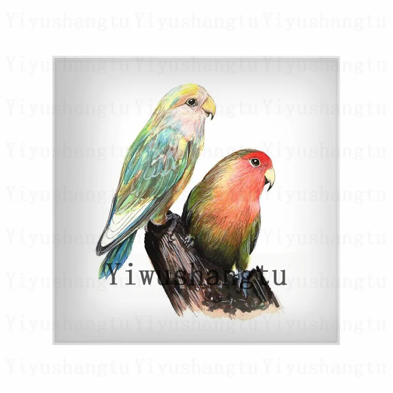 Очаровательная картина акварель птицы на ветках 12 мм/20 мм/25 мм/30 мм квадратный
