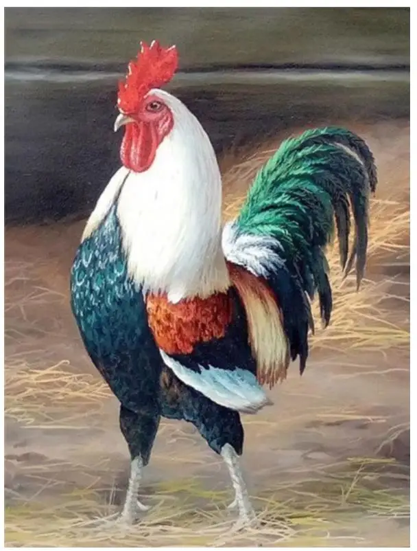 Картина с петухом и бриллиантами кухня животные круглые стразы вышивка картина