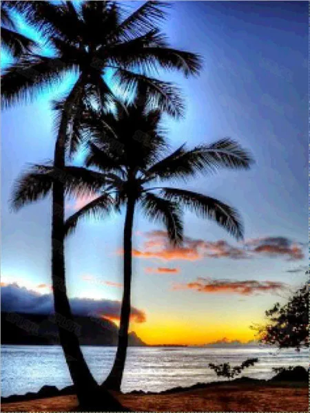 

Diy Diamond Painting Modern Aesthetic Artistic Conception Hainan Coconut Tree Seaside Landscape Decorative Painting
