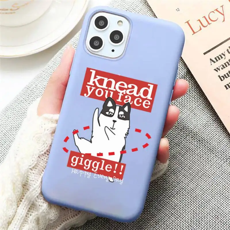 

Original design cute Erha Phone Case Candy Color Blue for iPhone 11 12 pro XS MAX 8 7 6 6S Plus X 5S SE 2020 XR