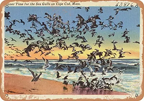 

Металлическая вывеска-почтовая открытка в массажере-время ужина в морских чайках на накидке трески, массе-винтажный декор стен ржавчины дл...