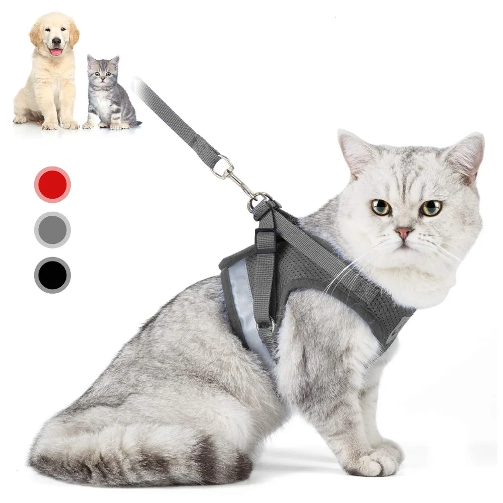 Cat Harness And Leash Set Adjustable Reflective Cat Harness Soft Padded Jacket Chihuahua Dog Harness Vest