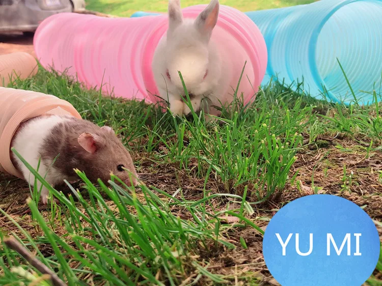 Расширительный туннель rabbit Dutch pig ferret хомяк chipmunk ежик дракон кошка игрушечная