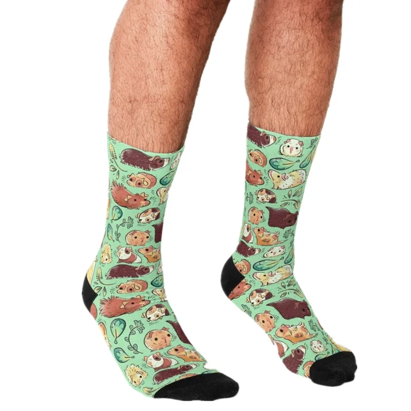 

2021 Socks Men harajuku Guinea Pig Huddle Socks Printed Happy hip hop Men Socks Novelty Skateboard Crew Casual Crazy Socks