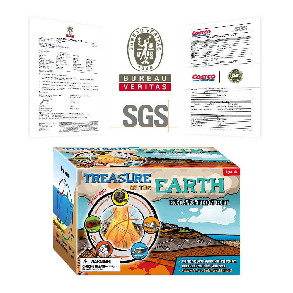 

Dig Rocks Kit Excavation Digging Up Kit Natural Stones Rocks Mineral Specimen Irregular Shape Rough Rock Stone for Kids