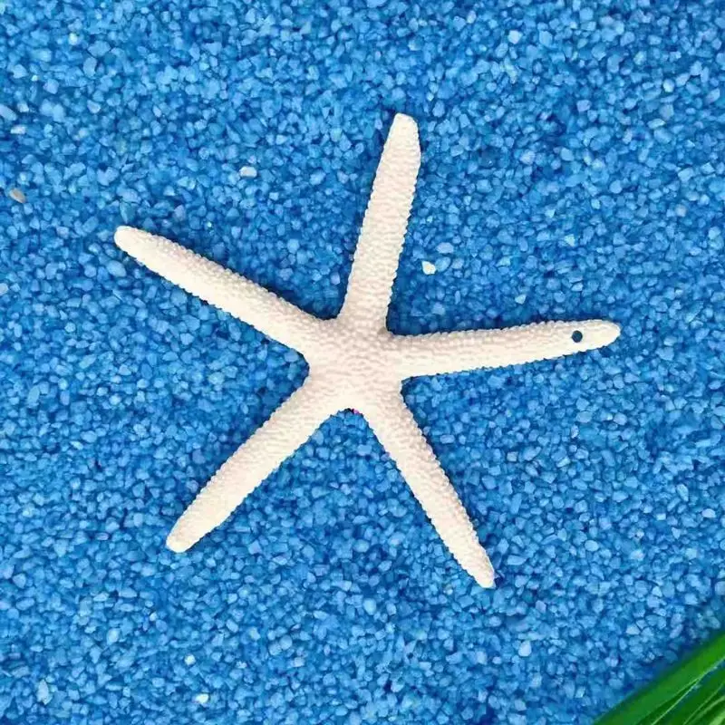

White Starfish Aquarium Fish Tank Ornament Decoration Sand Dollars Mixed Ocean X7JE