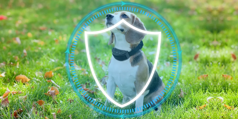 Petrainer 853 Горячая Анти лай не лай дистанционный Электрический шок Вибрационный дистанционный ошейник для собак