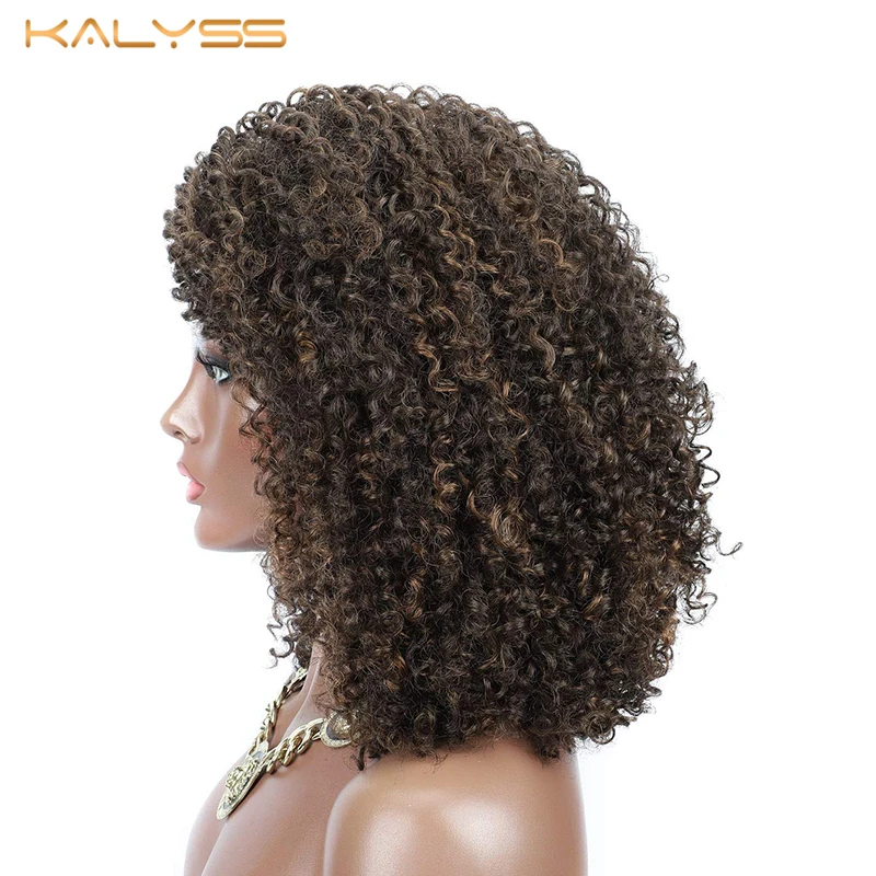 

Kalyss 8 Inches Afro Kinky Curly Wigs for Women Synthetic Lace Front Wigs Heat Resistant Long Curly Wavy Wig False Hair