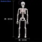 Гибкая анатомическая кость человека медицинская модель скелета, Обучающие принадлежности, скелет для украшения вечевечерние на Хэллоуин