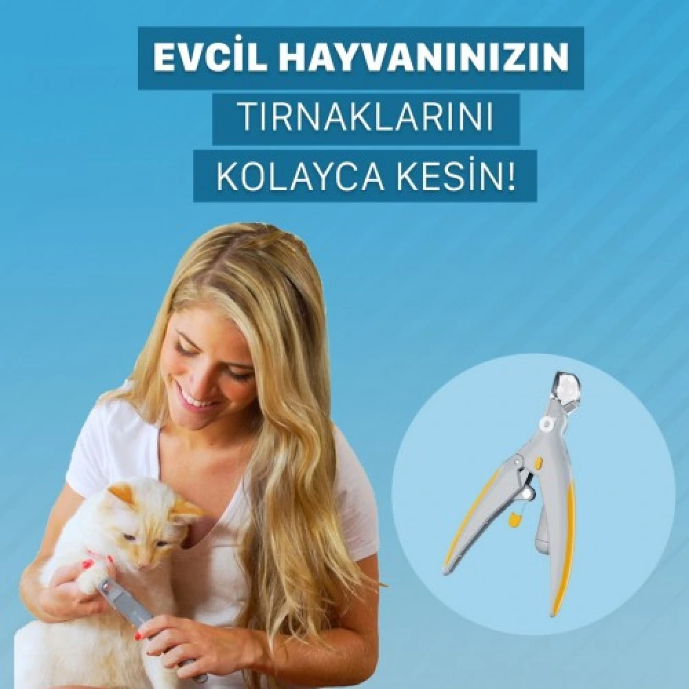 

Pet Products