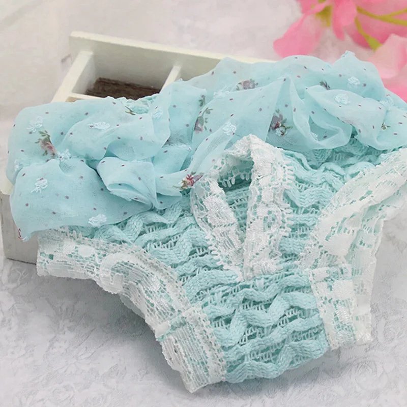Pet Dog Physiological Sanitary Pants Washable Female Diaper Reusable Dogs Shorts | Дом и сад