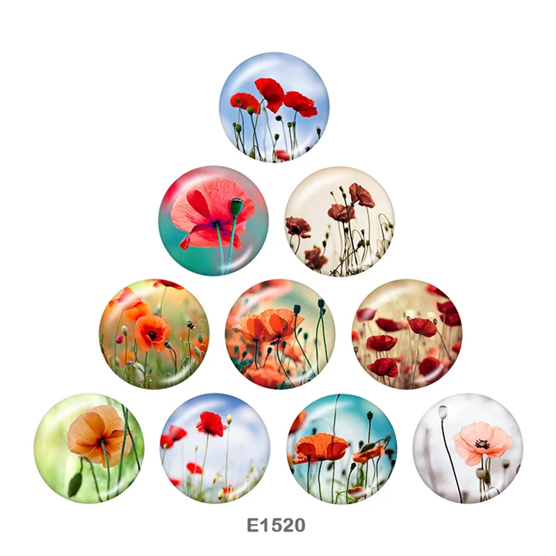 

Round glass cabochon Fridge stickers Keychain Aroma Locket snap button jewelry 10pcs/set E1520