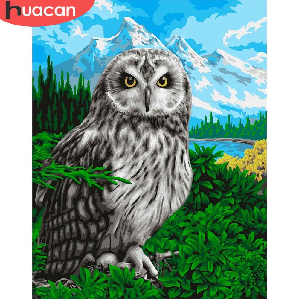 

HUACAN картина по номеру Сова наборы животных для взрослых ручная роспись DIY раскраска по номеру на холсте украшение для дома