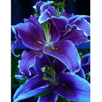 5d diamond painting purple lily flower diamond embroidery large floral cross stitch 5d home decor gifts creative mosaic kits