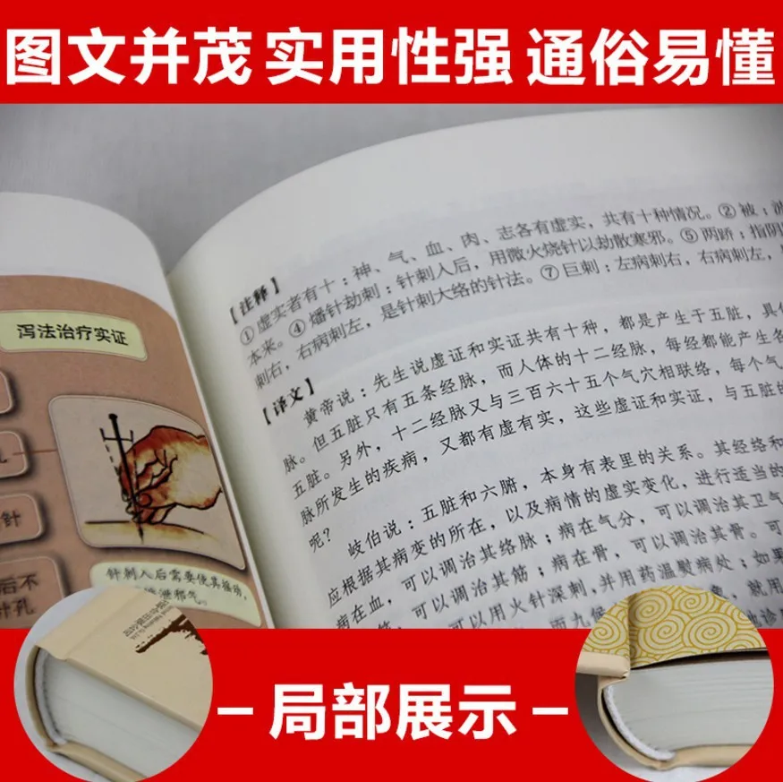 

Coloured Drawing All Note Full Translation Whole Solution Yellow Emperor Traditional Chinese Medicine Four Masterwork