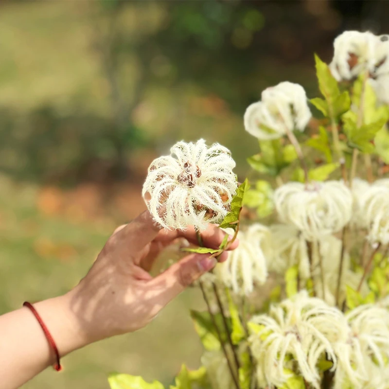 Имитация цветов ветвей Листьев зеленых растений декоративный цветок
