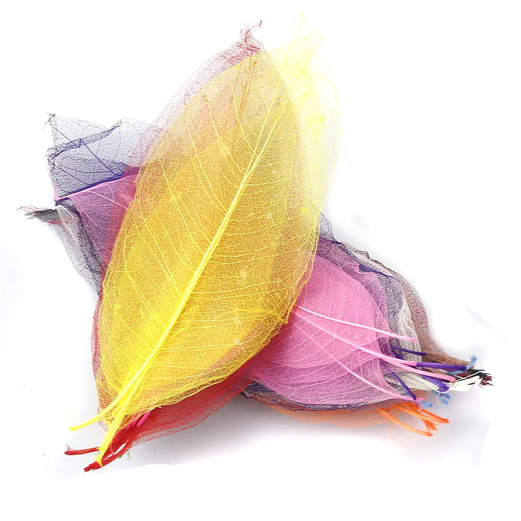 50 шт. натуральный каркас листьев цветной скрапбук Ремесло Украшение