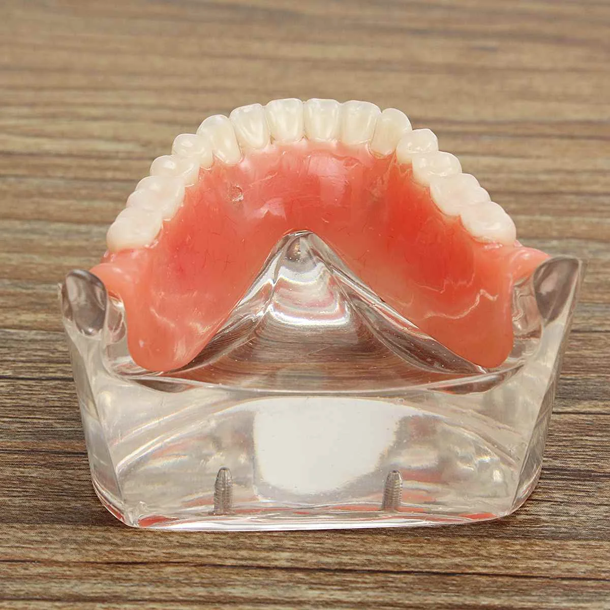 Модель зубов для взрослых стандартная модель обучения демонстрация орального и