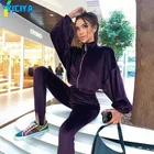 Велюровый костюм, пальто с длинным рукавом и штаны, флисовый костюм, спортивный костюм, женский спортивный костюм для женщин, женская домашняя одежда, костюмы из двух предметов