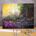 Природные пейзажи цветочные воды Краски Полный Комплект Акриловые Краски s 50*70 картина по номерам фото вручную написанным рисунком