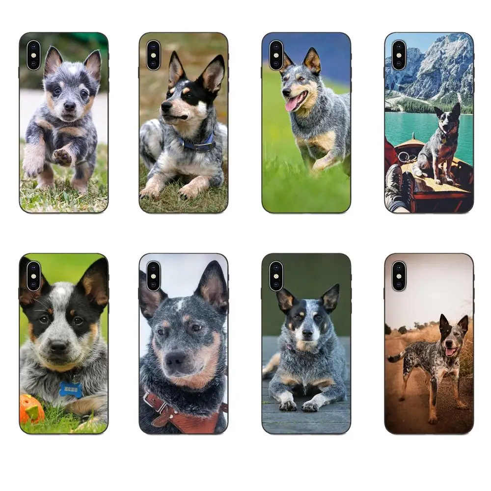 Мягкий ТПУ новый стиль для Apple iPhone X XS Max XR 4 4S 5 5S SE 6 6S 7 8 Plus австралийская собачка