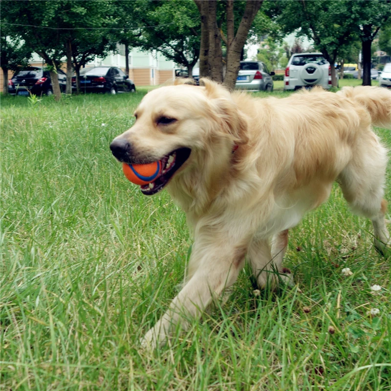 Плюшевый Лабрадор маленькие средние и большие собаки моляры для вокализации