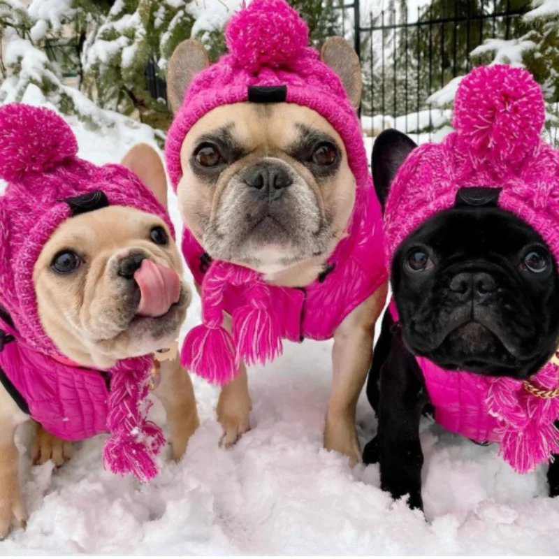 

Holiday Party Pet Dog Hat Four Seasons Small and Medium-sized French Bulldog Bichon Warm Windproof Fluffy Ball Knitted Headwear
