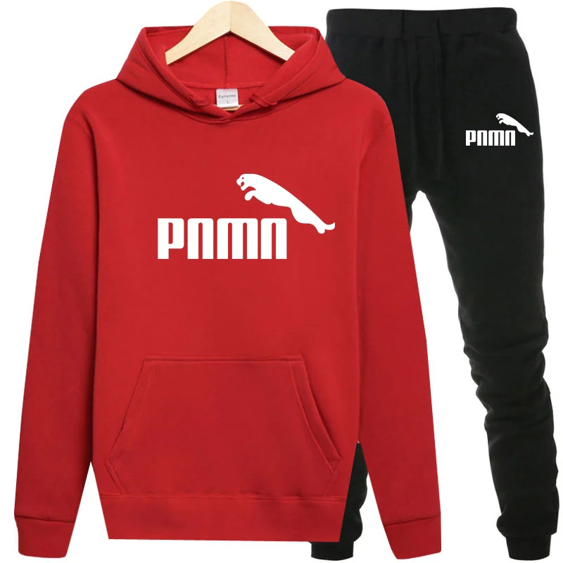 Женский спортивный костюм из 2 предметов плотный флисовый с капюшоном и штаны