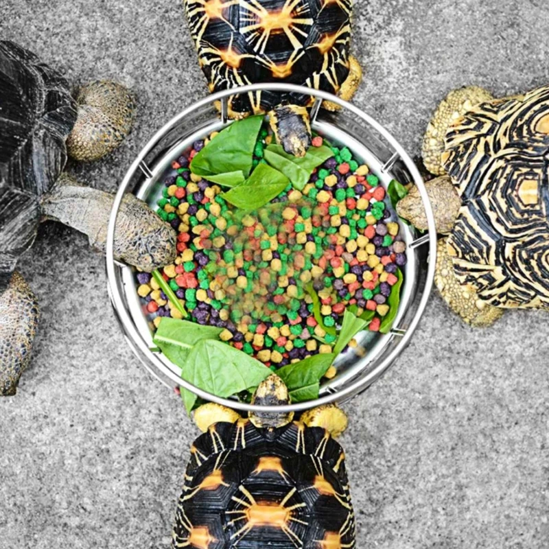 

Stainless Steel Reptile Feeder Drinking Bowl Tortoise Automatic Water Dispenser