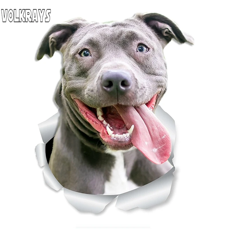 

Volkrays Funny 3D Dog Car Sticker American Bully Happy Pit Bull Dog Decal Waterproof Auto Accessories Vinyl,15cm*10cm