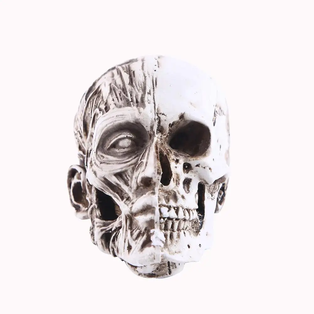 Искусственный череп из смолы модель искусственный Скелет человека декоративный