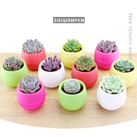 6 color mini flower planter pots indoor garden for office decoration or succulent plants desktop flower pots home accessories