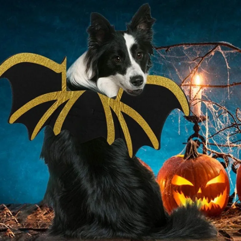 

New Pet Accessories Cat Dog Halloween Cosplay Costume Black Bat Wings Funny Party Dress Up Halloween Decorations Dropship Top