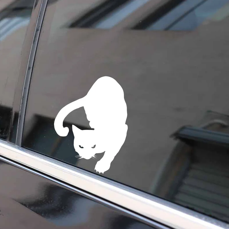 

16cmx12cm Funny cat Vinyl Car stickers Decals Motorcycle Accessories Car-Window Decorative Goods PVC