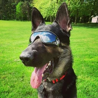 pet goggles dog supplies transparent glasses waterproof windproof sunscreen snow and uv protection for big dogs glasses