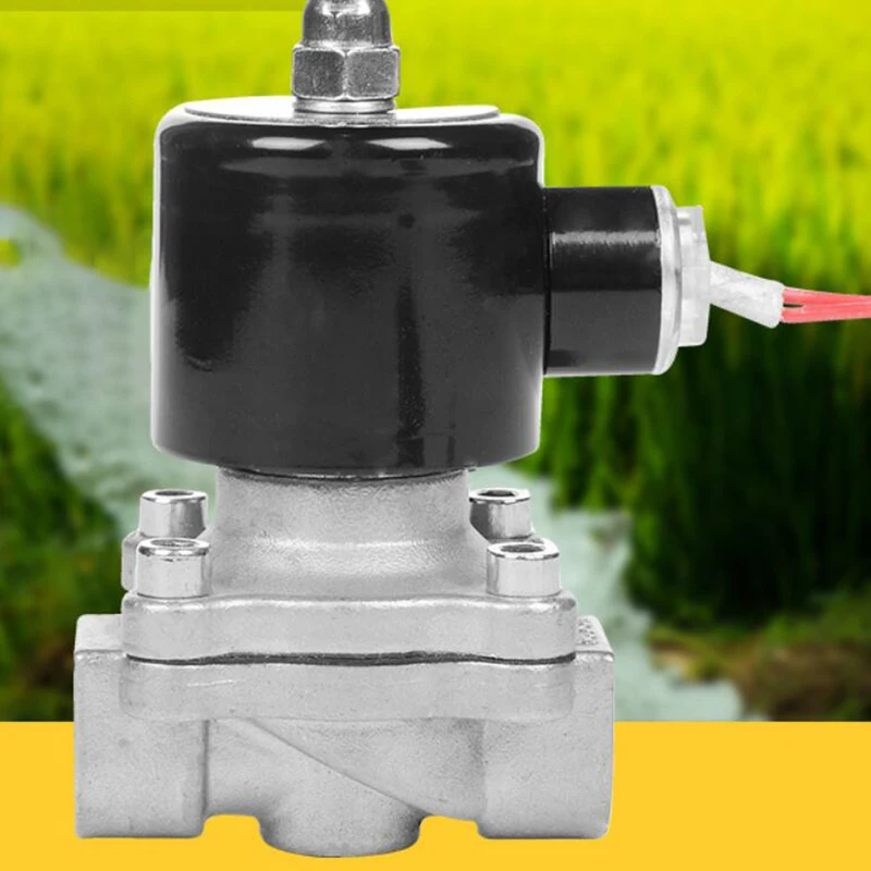 

Stainless Steel Electric Solenoid DN10 2W-160-10 3 Minute Valve Normally Closed Pneumatic for Water Oil Air Gas