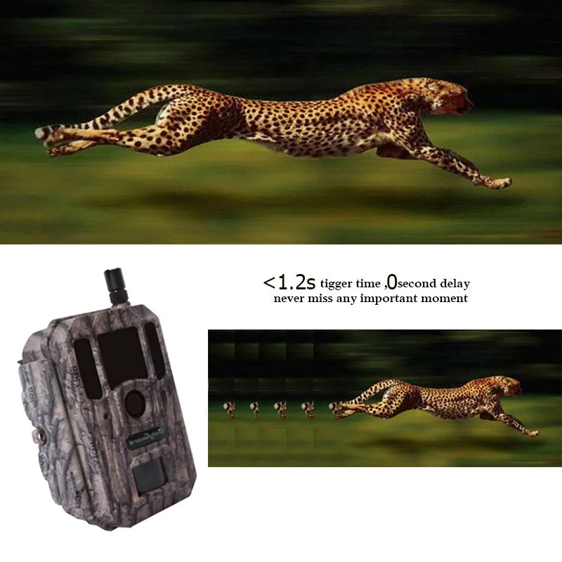 Фотоловушка Bolyguard 4G GPS 36PM 1080P с ночным видением Охотничья ловушка камера для дикой