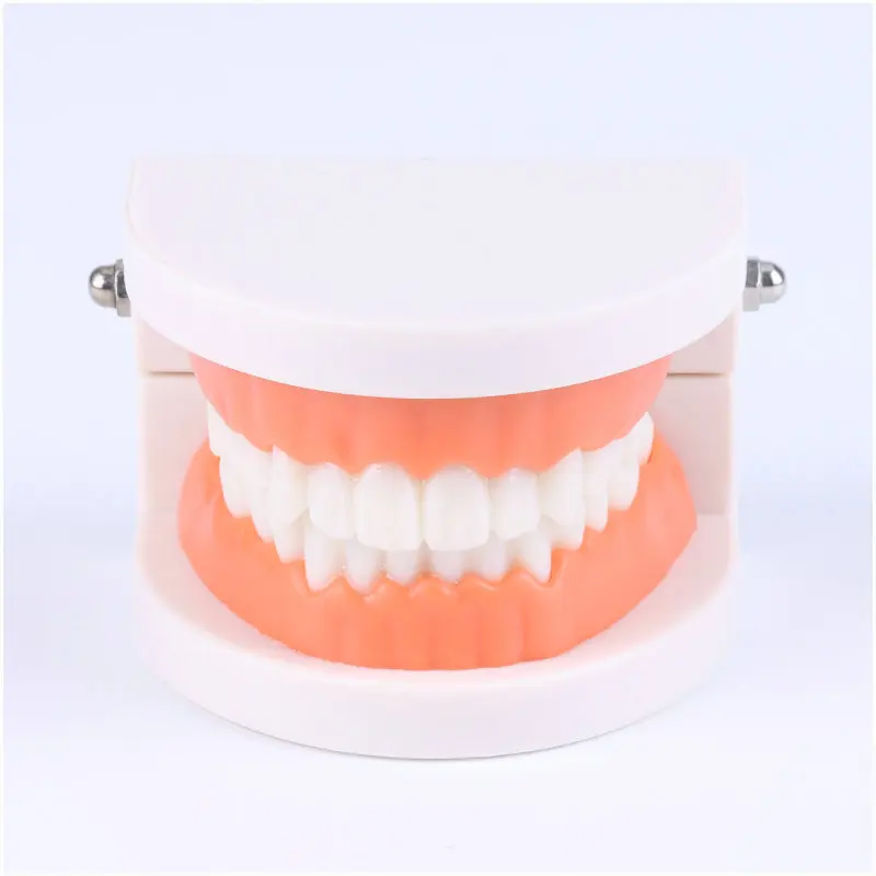 

Educational Toys for Children Early Learning Kids Intelligence Brushing Tooth Teaching Aids Simulated