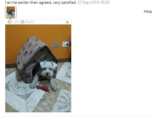 Складной коврик для питомцев, собачий домик с принтом лап, собачьи кровати для маленьких и средних собак, домашние кровати для домашних животных, товары для домашних животных, кошек 90611
