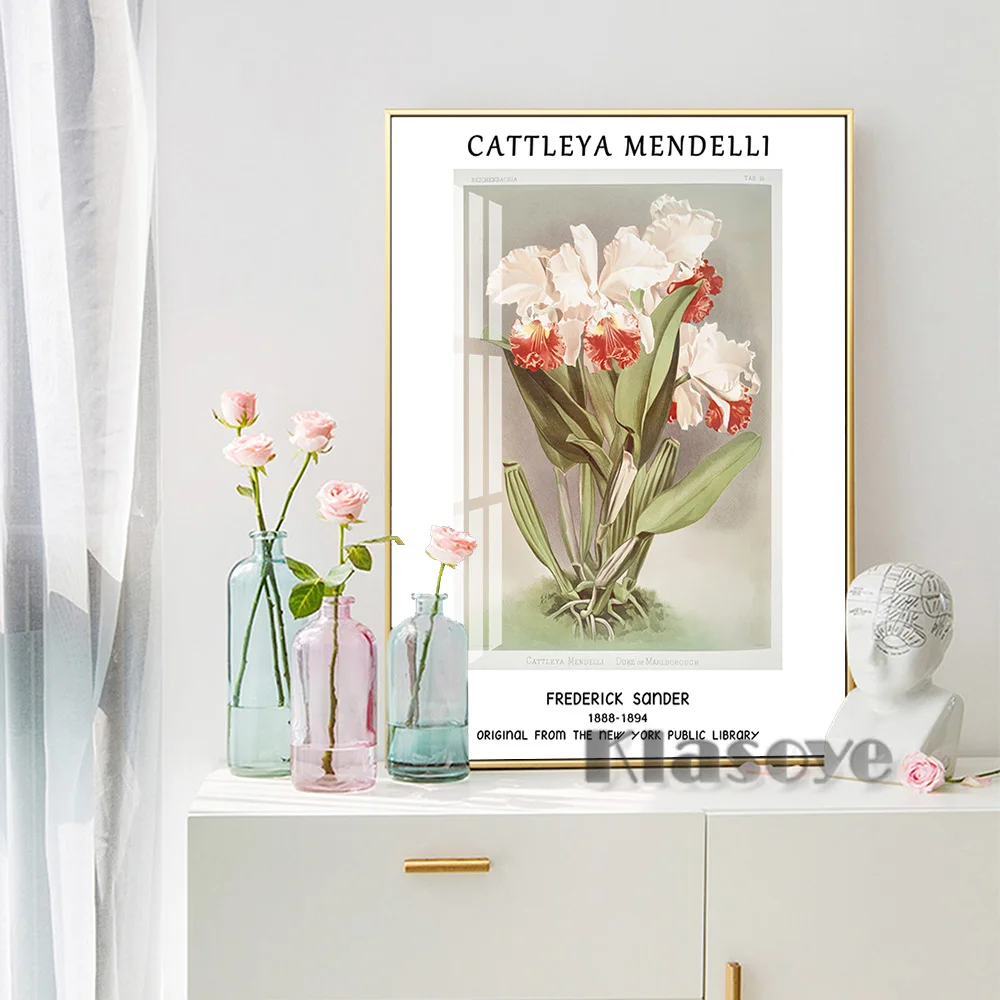 

Frederick Sander Exhibition Prints Poster Cattleya Mendelli Wall Art Canvas Painting Modern Home Decor Wall Stickers Picture