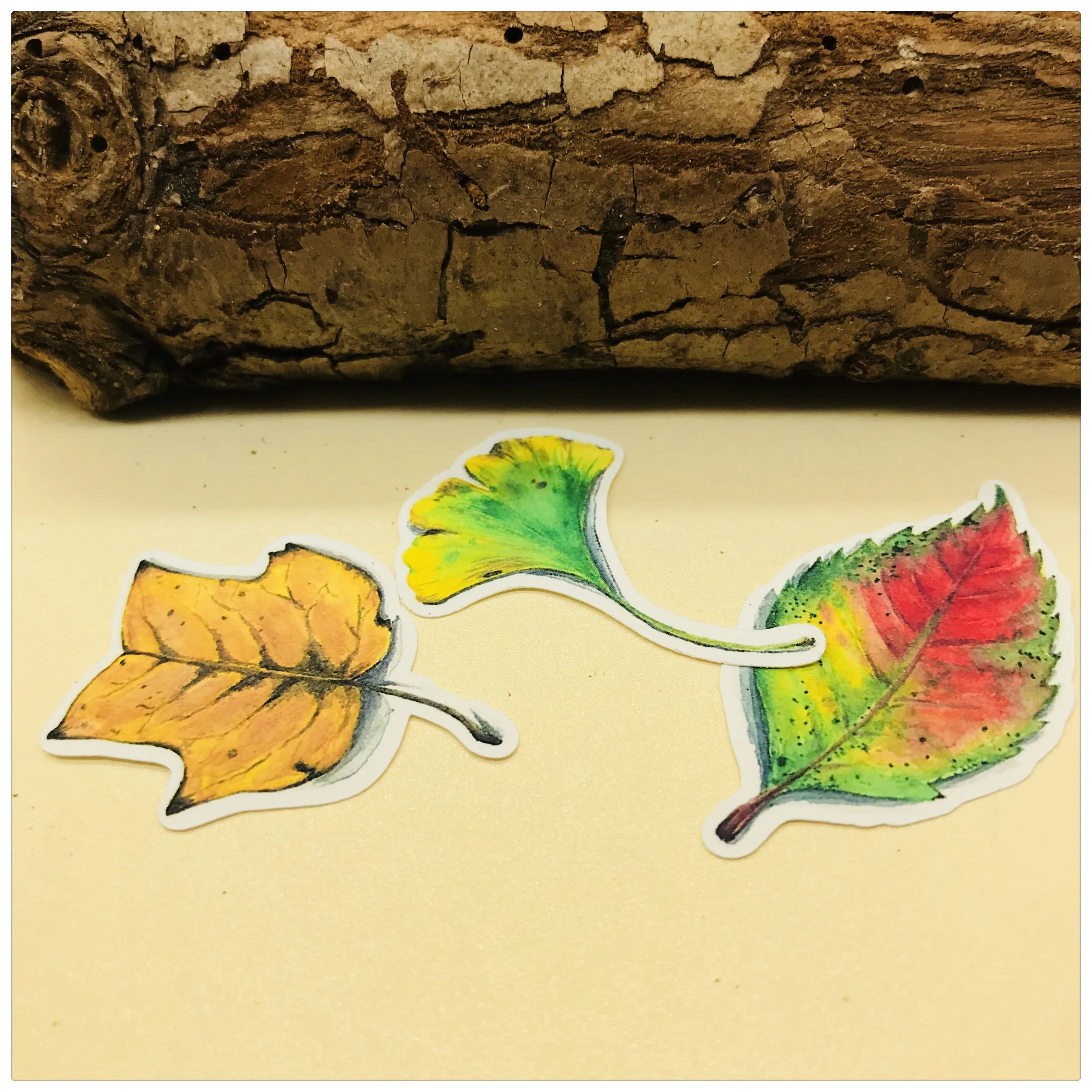 34 шт. руководство стикеров лист Справочник осенними листьями наклейки альбом