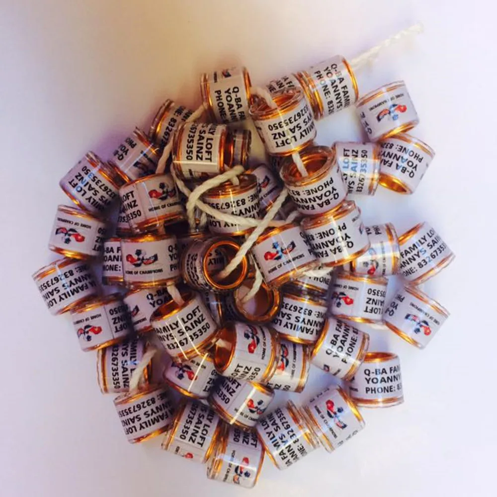 Пластиковые кольца бирки полоски ткани на ноги голубей кольцо делая