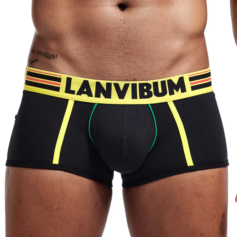 Lanvibum Брендовые мужские боксеры мужское нижнее белье чистый трусы модные шорты